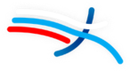 Всероссийская федерация легкой атлетики